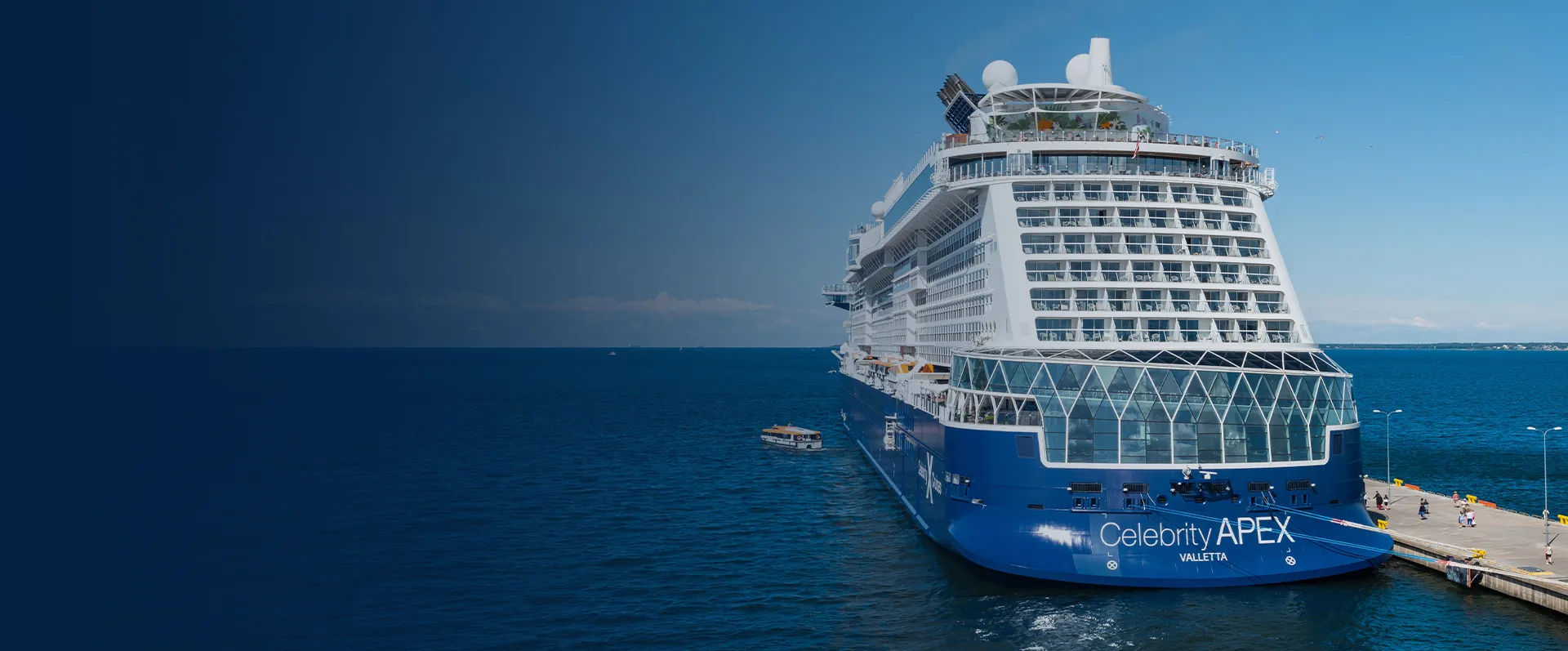 cruise banner